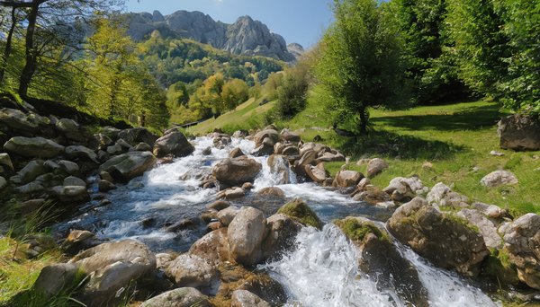 Découvrez Pourquoi l'Ariège est la Destination Montagne Idéale pour Vos Prochaines Vacances